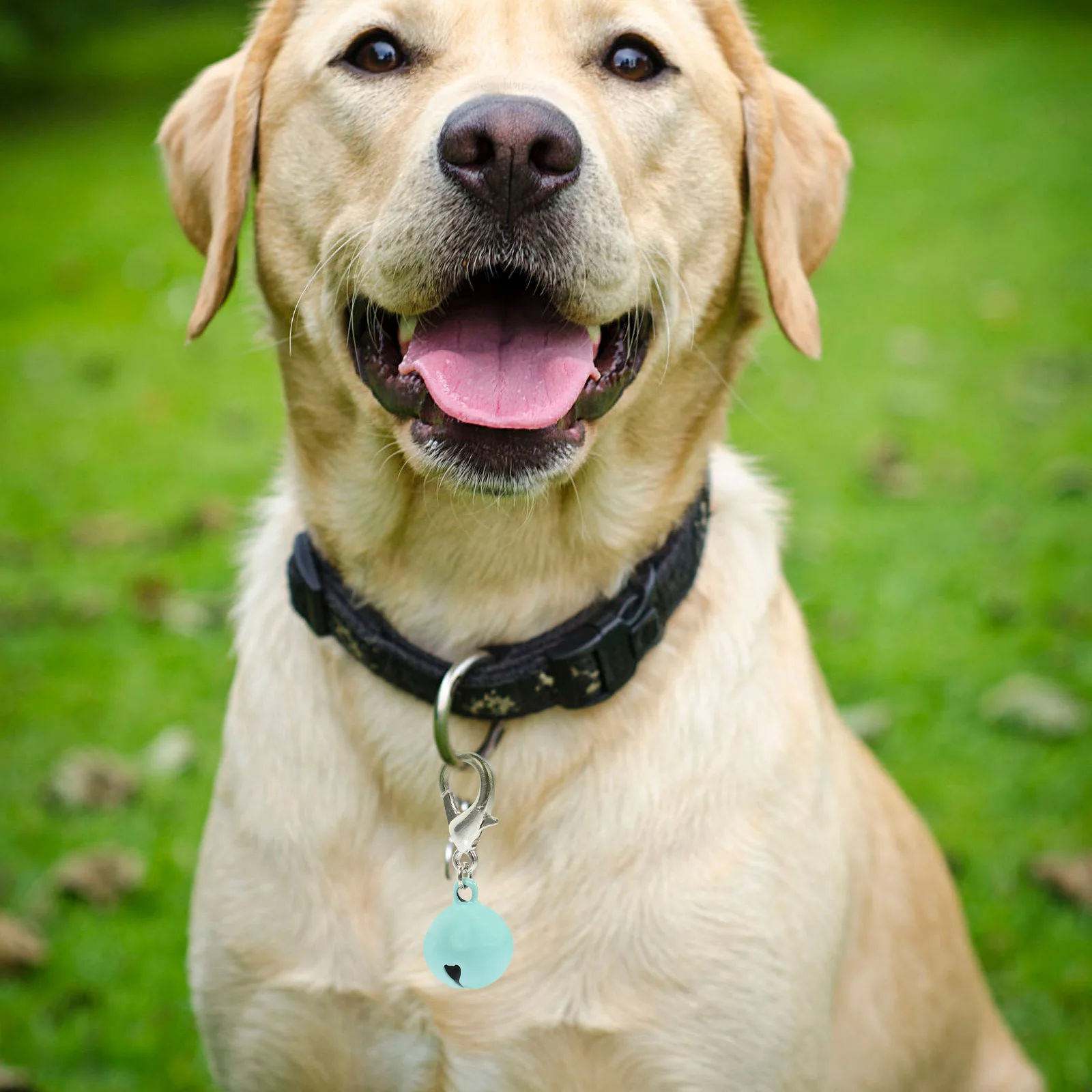 

10pcs Cat Dog Collar Bells Pet Collar Hanging Bells Decorative Metal Jingle For Kitten Puppy Wear-Resistant Holiday Pet