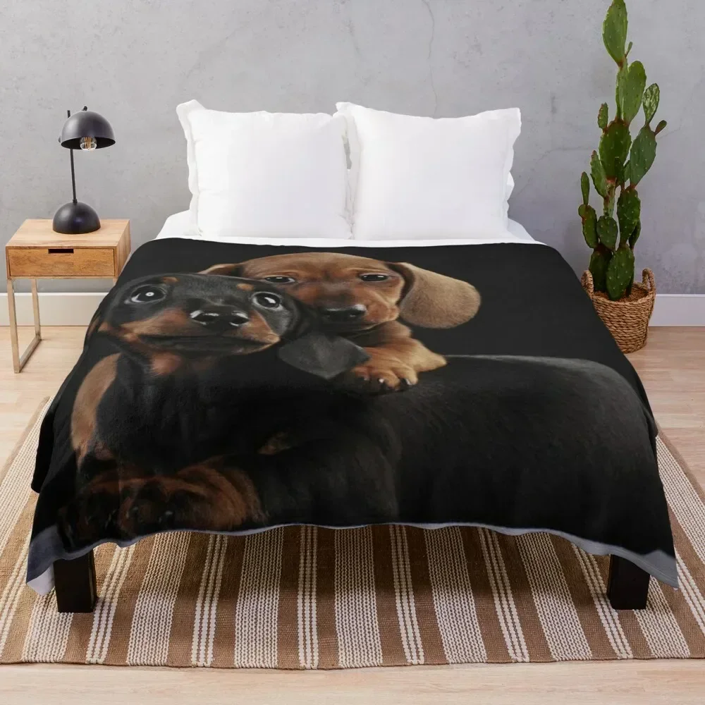 Dachshund Dog portrait photo pupies Throw Blanket Summer Beddings halloween Quilt Single Blankets