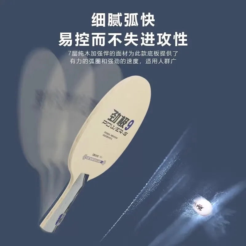 Dhs Table Tennis Bl… - image