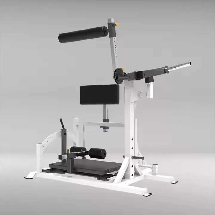 

Commercial Steel Plate Loaded Machines Fitness Equipment for Strength Exercise Abdominal Training Machine Back Bodybuilding11