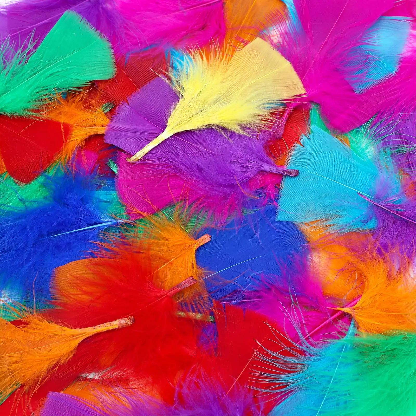

Colorful Turkey Feathers 2-4 Inches Natural Soft Feathers for DIY Crafts Wedding Party Jewelry Home Decorations