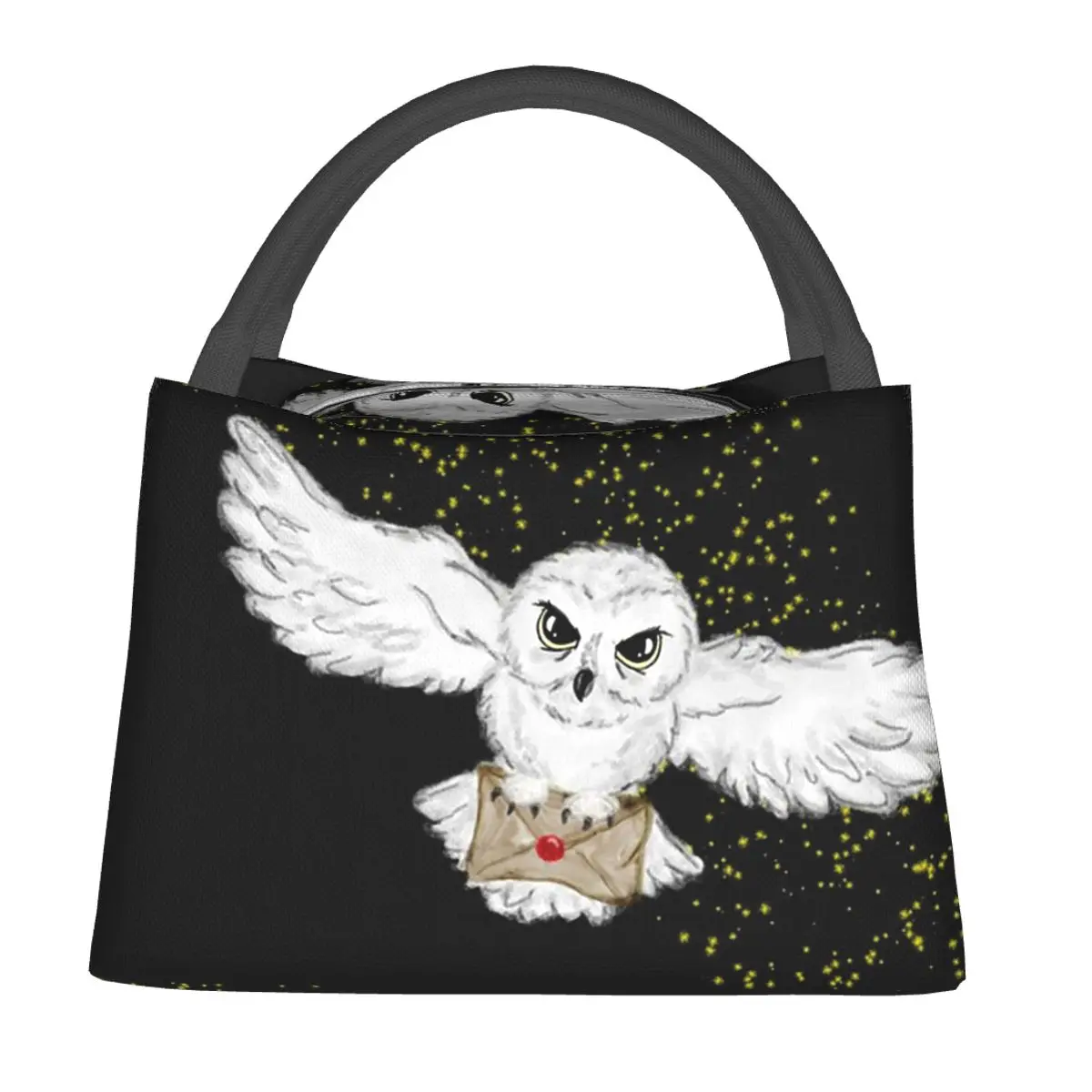 Owl Flight Throw Blanket Lunch Bags Insulated Bento Box Portable Lunch Tote Picnic Bags Cooler Thermal Bag for Woman Kids Office