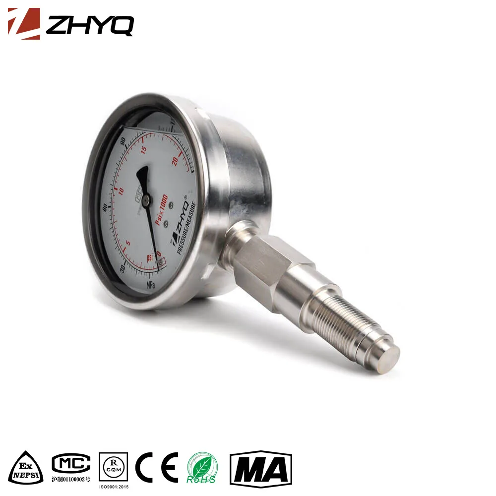 High quality 100mm diaphragm seal pressure gauge stainless steel Sanitary diaphragm Pressure gauge