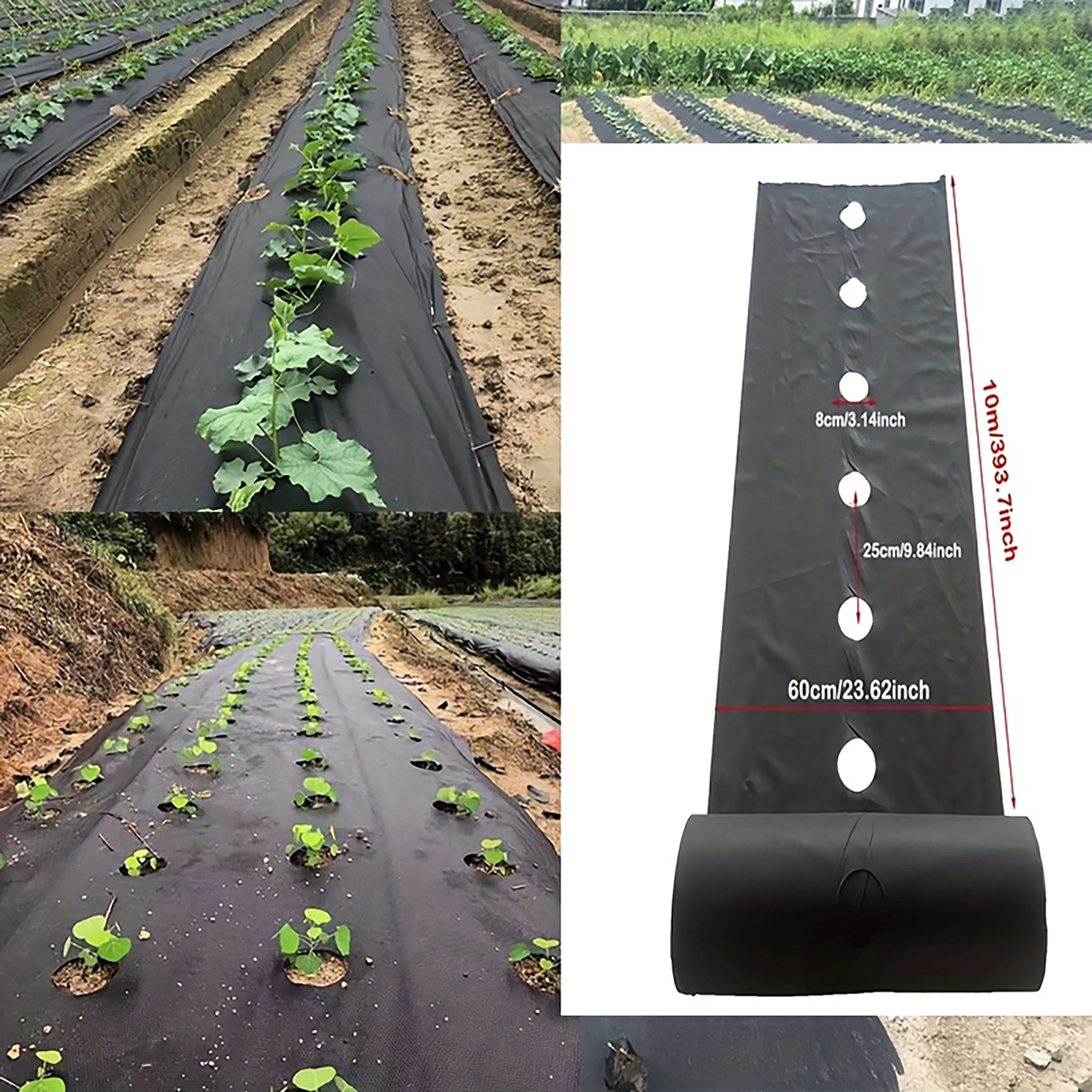 Black weed control cloth with planting holes, suitable for garden and yard use, vegetable and fruit planting, and weed control