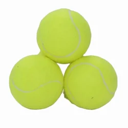 Balle de tennis en caoutchouc à haute élasticité, entraînement professionnel, sports de jeu, massage, 2022, 1 pièce
