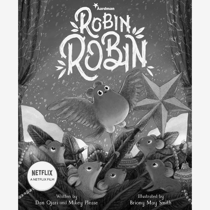 Briony May SmithRobin Robin Briony May Smith Two Hoots 9781529071368 Book
