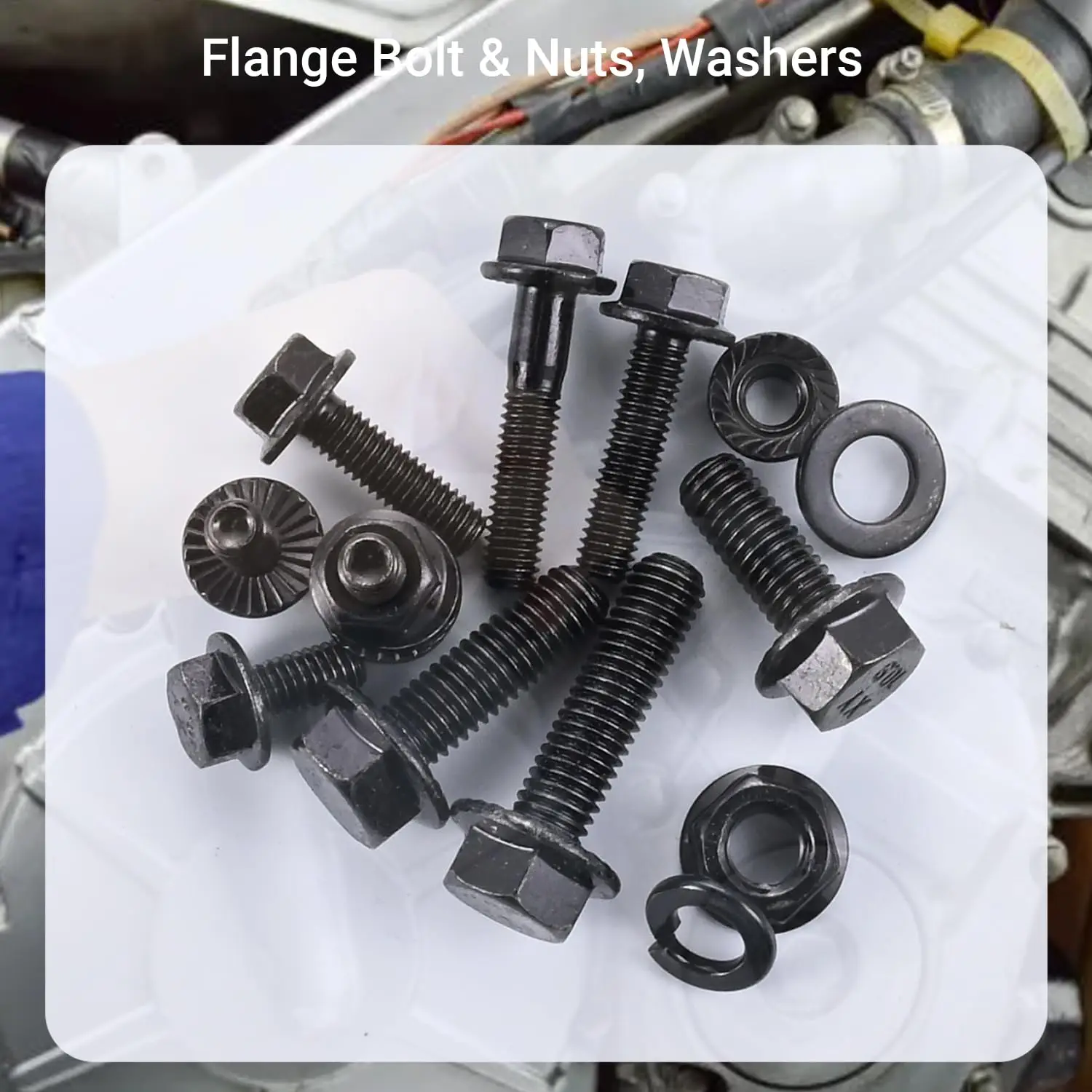 304-Piece Set of Metric Flange Bolts and Nuts, M6 and M8 Hex Bolts and Nut Washers for Various Automotive Applications