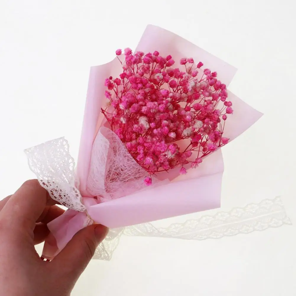 1 Bouquet Gypsophila Dried Flowers Romantic Natural Babysbreath Preserved Natural Flower Floral Decoration for Gifts