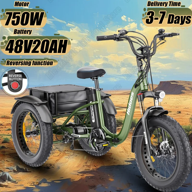 Folding E-Trike 750W Motor 48V20AH Battery Reversing function Electro Trike 20*4inch Fat Tire Off-road Mountain Electro Tricycle