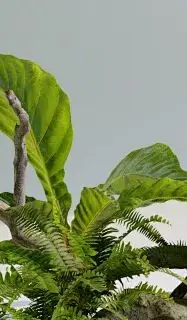 

Сменный Ni-CD аккумулятор 12 В, 3000 мАч для Ecovacs 10001568 10002167 DD3G DD4G DE5G DD35 DG710 DM88 ZJ1517-HFR роботизированный пылесос