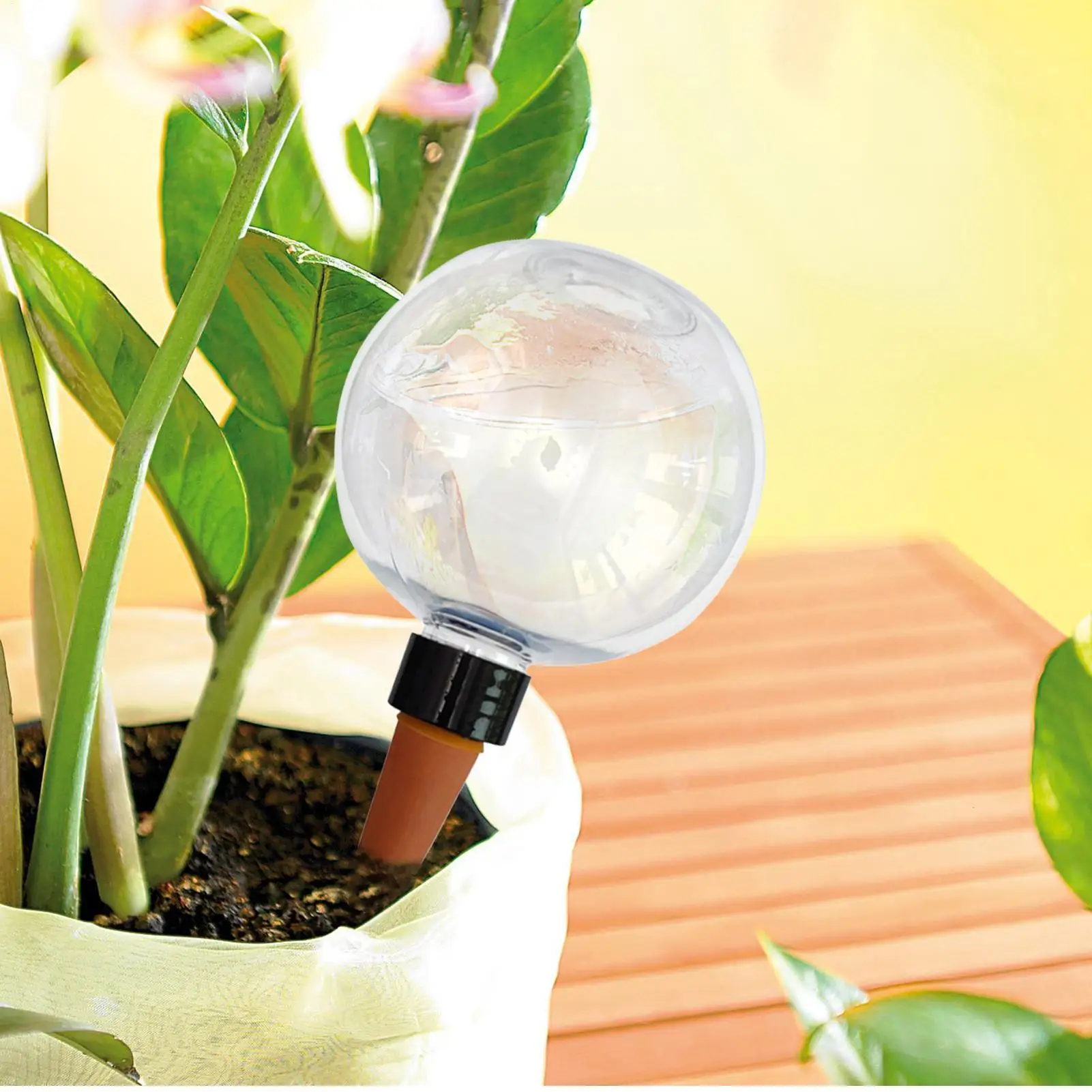 #33 Latest Watering Globes Offers