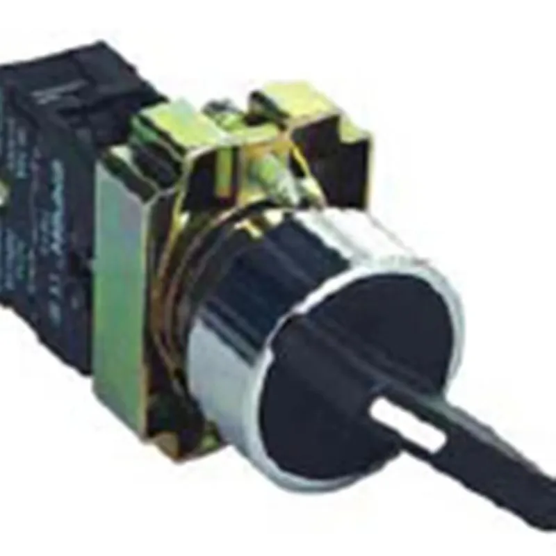 ELEWIND 22mm Screw terminal 1NO two position maintain selector Long knob selector switch same as XB2 series ( PB225-10XB-21 )