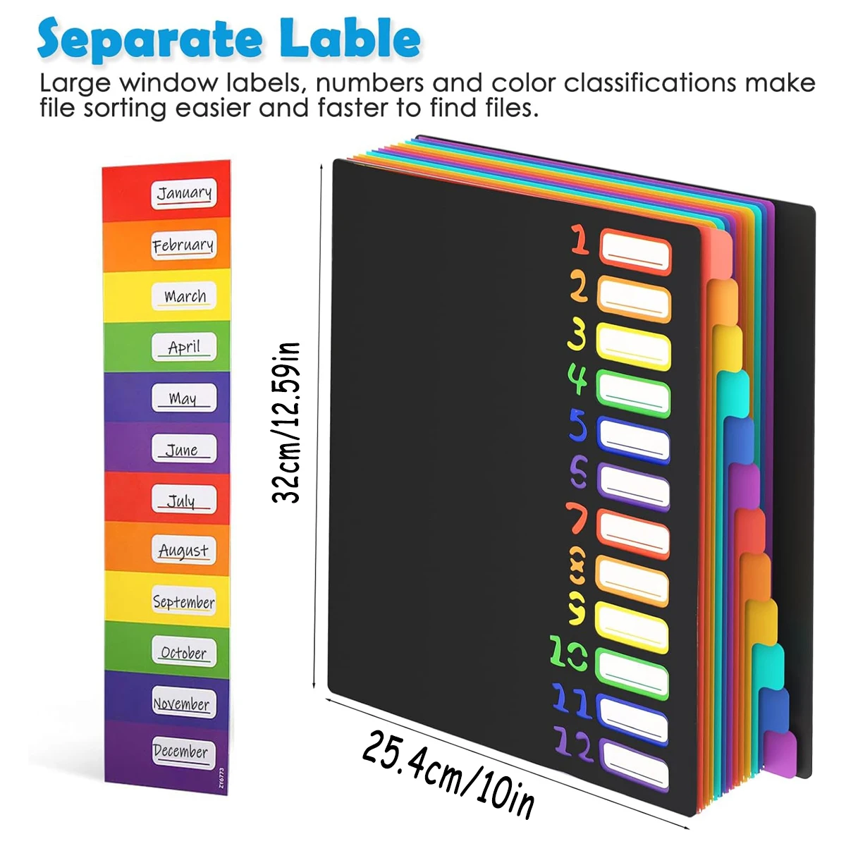 Color Tab A4 File Folders with Monthly Dividers - Durable Organizer, Coded Calendar System, Black Sturdy Cover