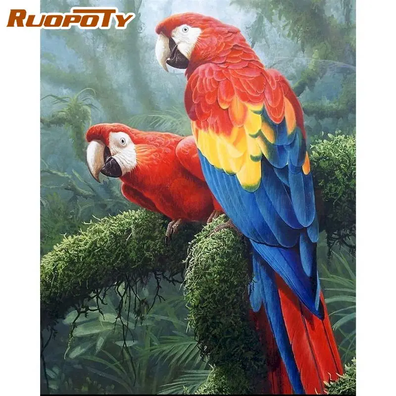 RUOPOTY 60x75cm Painting by numbers For Adults Canvas painting Animals Two parrots DIY Pictures by numbers Adults crafts Home de