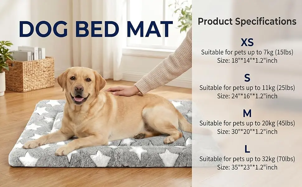 dog bed
