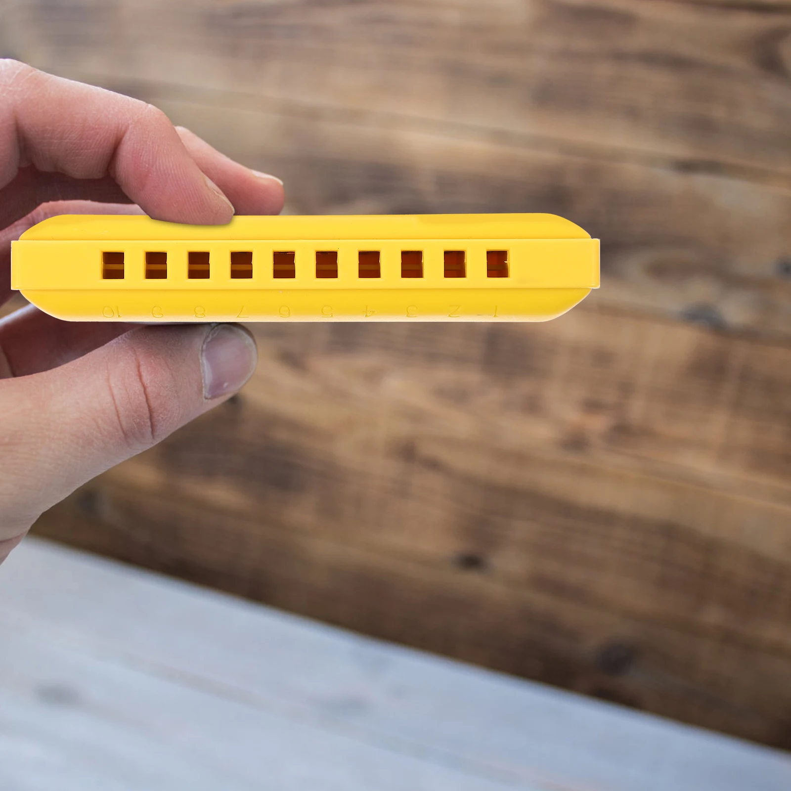 

1set Beginner Harmonica Hole 20 Tones ABS Material Kids Adult Musical Abs Harmonica Instrument Blues Diatonic Storage Box