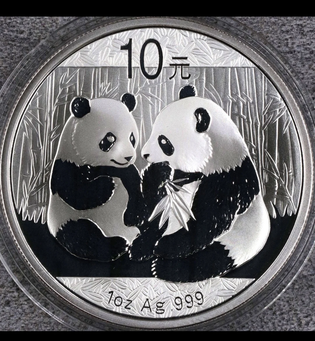 

2009 China Panda Silver 1oz Ag .999 Commemorative Coin New Year Christmas Gifts 10 Yuan NGC