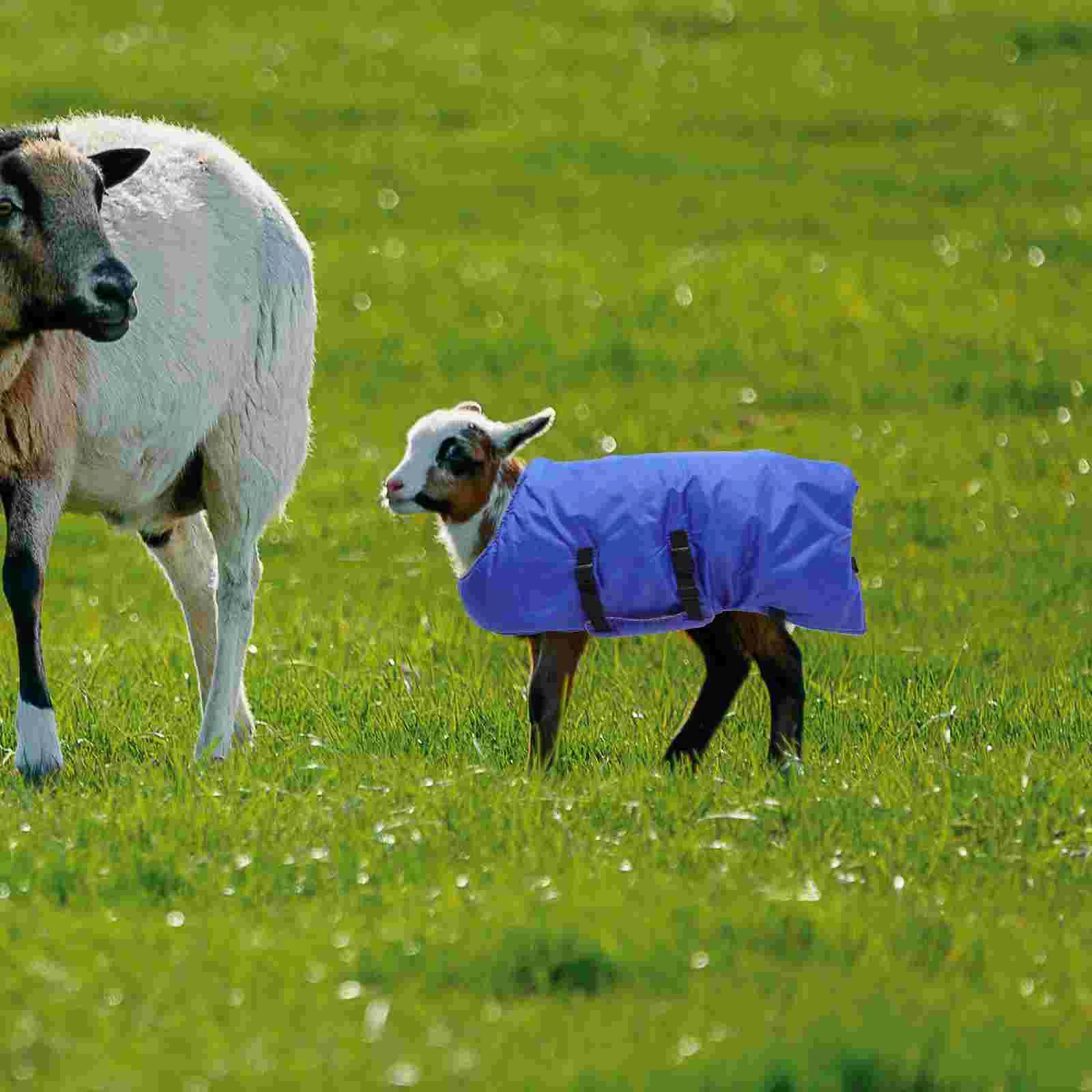 Chaleco de becerro para granja, abrigo de invierno cálido, ropa de pastizales a prueba de frío, envoltura de perro, abrigo de aislamiento térmico