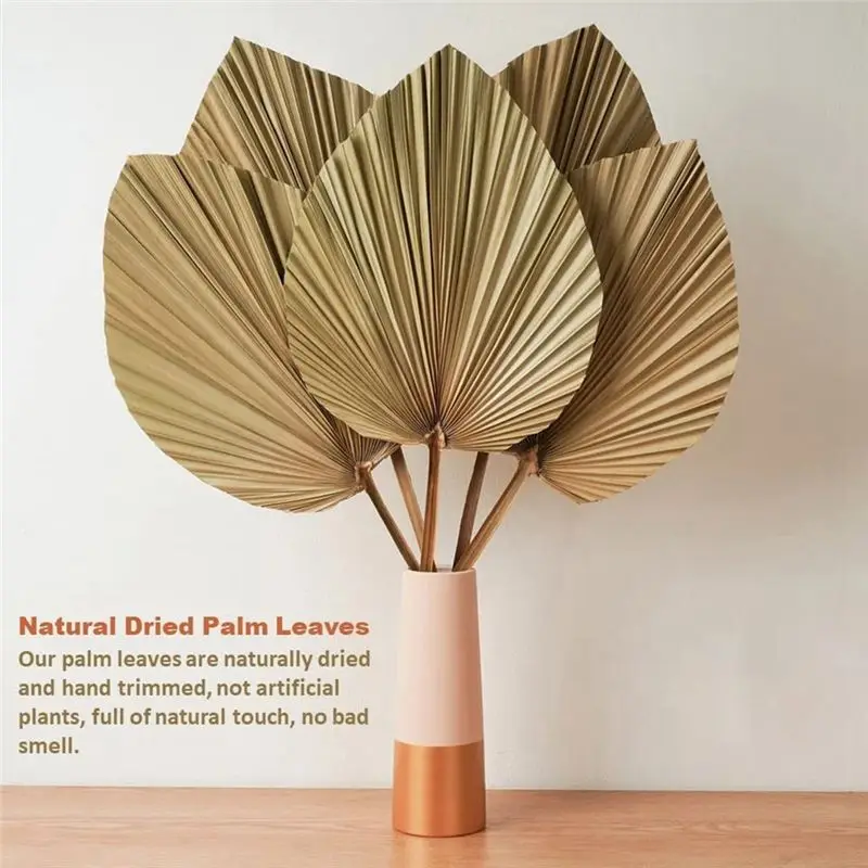 abzf-2026-4-pecas-de-folhas-de-palmeira-naturais-secas-perfeitas-para-decoracao-com-folhas-de-palmeira-decoracao-boho-decoracao-de-casa-casamento