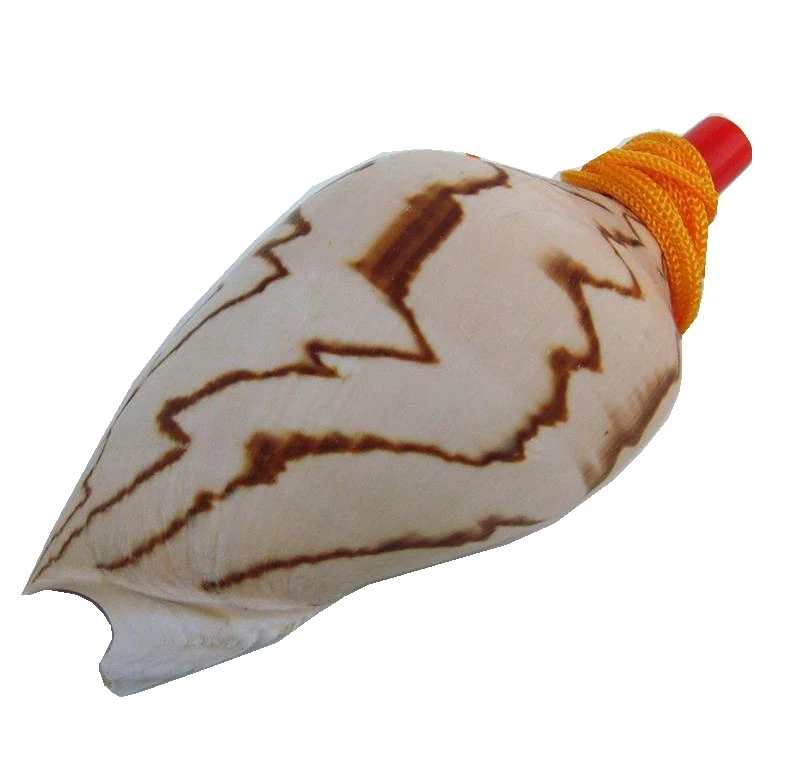 Big Sea Conch Screw Whistle, Conch whistle Shell Crafts, Can Be Melt, Free Small Gifts for Children, Free view 6