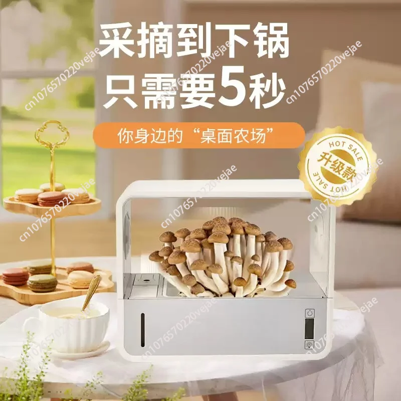Mushroom Eco-Box English Edition Smart Mushroom Grower Shiitake Cultivation Machine Automatic Humidification Growing Cabinet