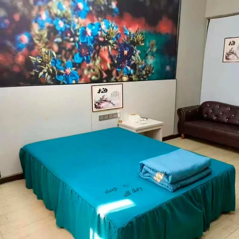 

Massage Equipment Beautician Bed Tool Professional Portable Table Beauty Beds Spa Stretchers Physiotherapy Tattoo Salon Chairs