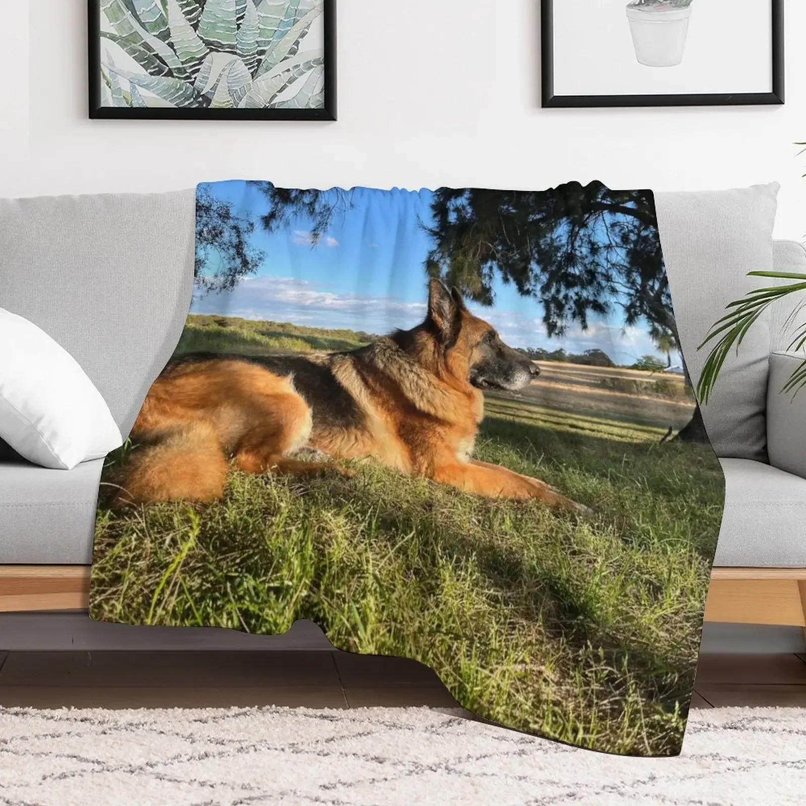 

Shepherd in the Sun Throw Blanket warm winter Camping Soft Blankets Warm Multi-Purpose Blankets