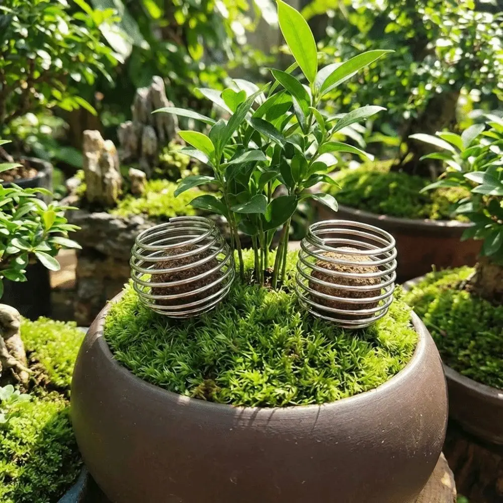 10Pcs Stainless Steel Automatic Fertilizer Box Column Shape Resisting Rust Plant Growth Box Slow Release