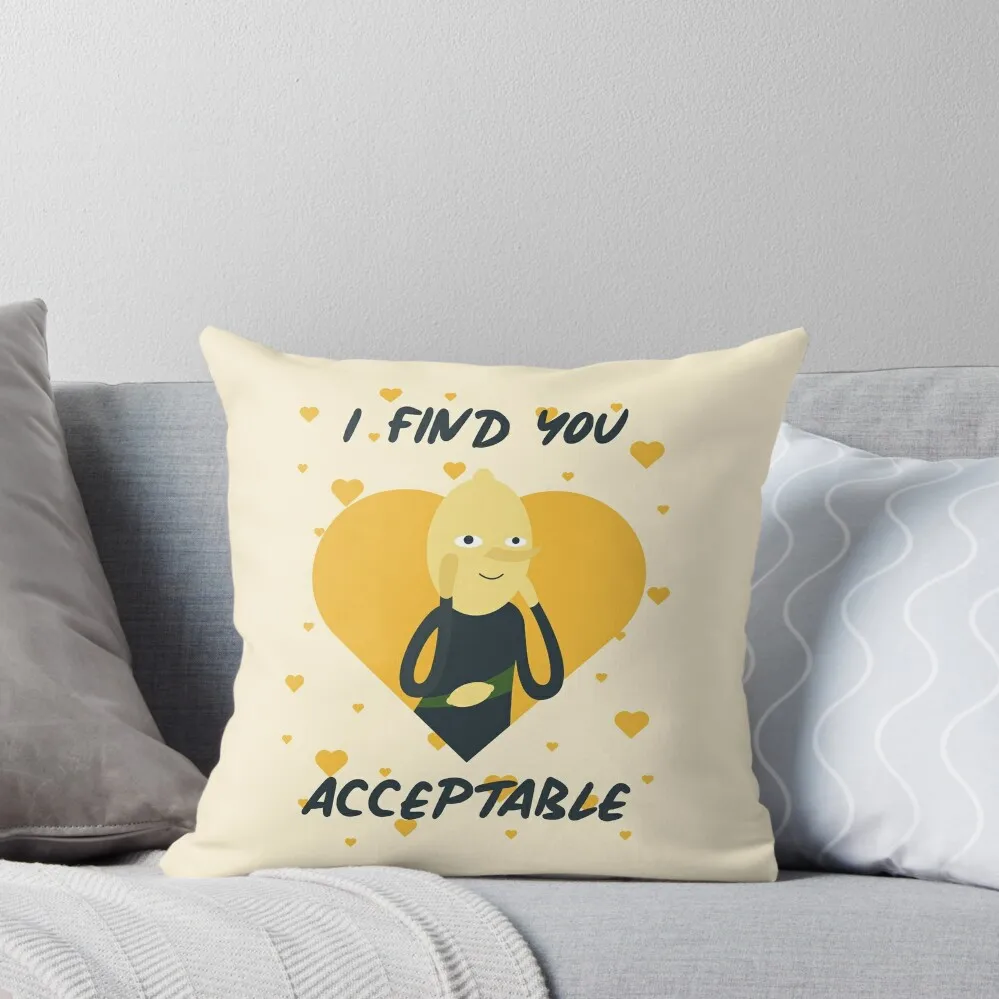 

I Find You Acceptable (Adventure Time) Throw Pillow pillow cover luxury Plaid Sofa Pillow Cases bed pillows
