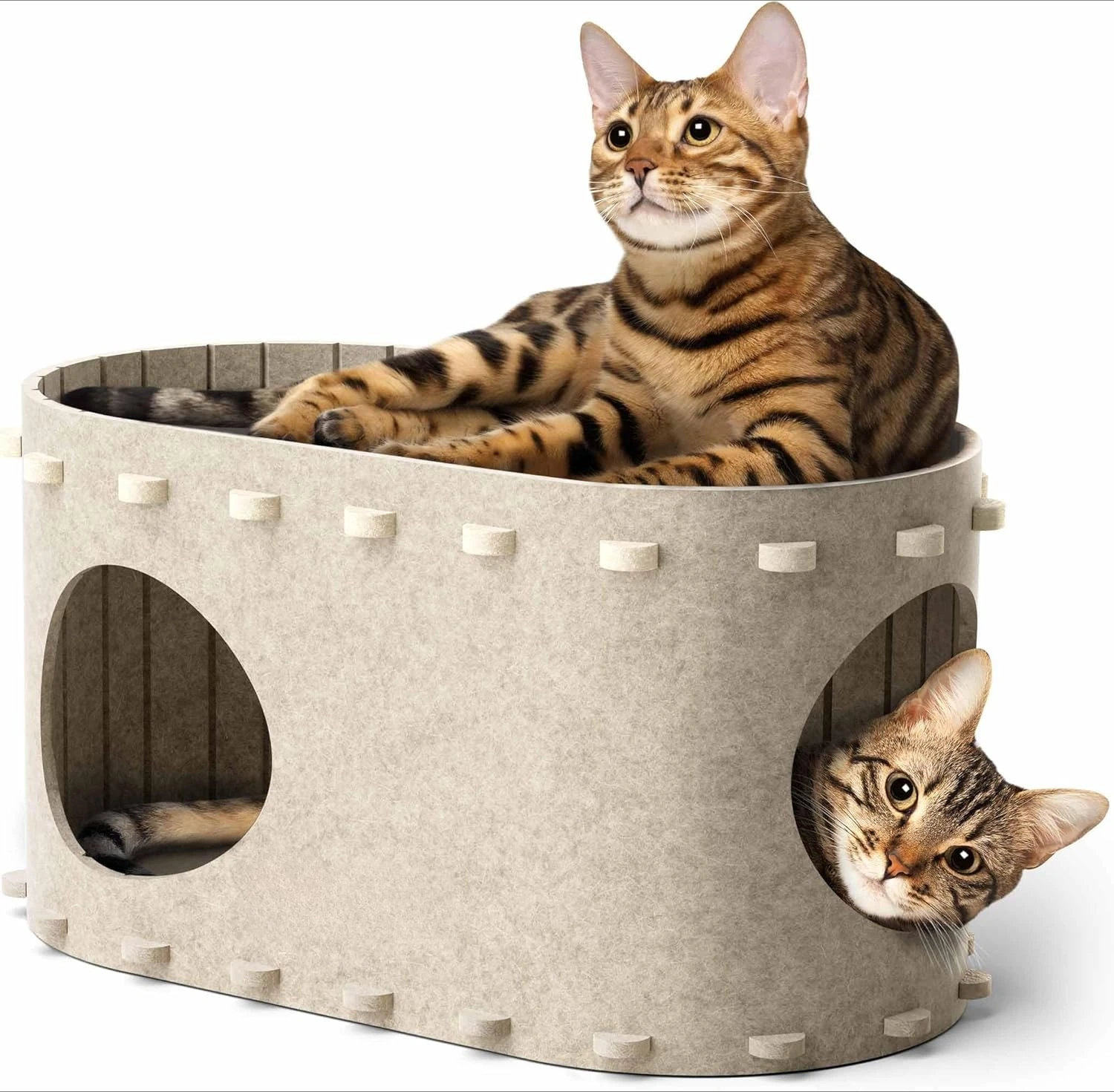 #11 Top Enclosed Cat Cave Beds Picks for Every Budget