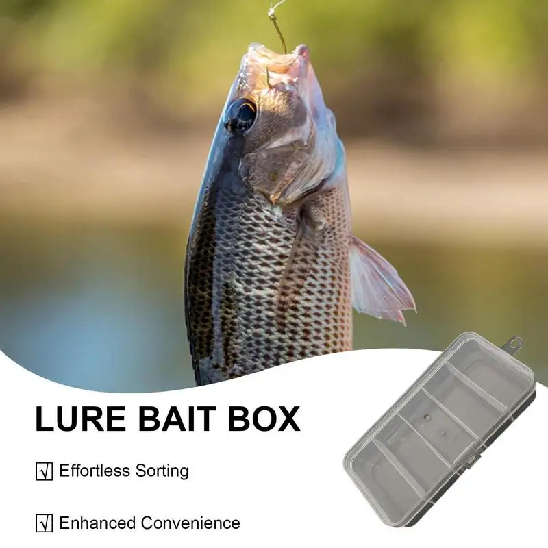 Fishing Tackle Accessory Box Lure 5 Grid Luya Storage Box For Fishing Sealed Fishing Tool Box For Beads Lures And Hooks