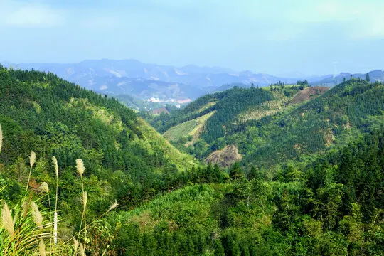 Originele Banden/Wielen 4 stks/set Voor MJX 14209 1/14 RC auto Vrachtwagens onderdelen