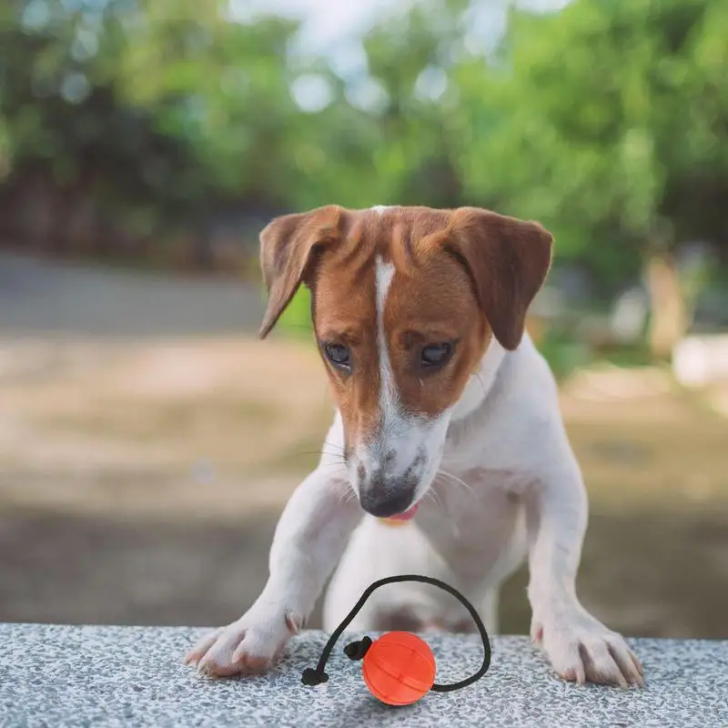 Dog Training Ball On Rope Dog Training Ball Fun Dogs Balls Toys Keep Teeth Healthy And Boost Physical And Mental Health For Dog