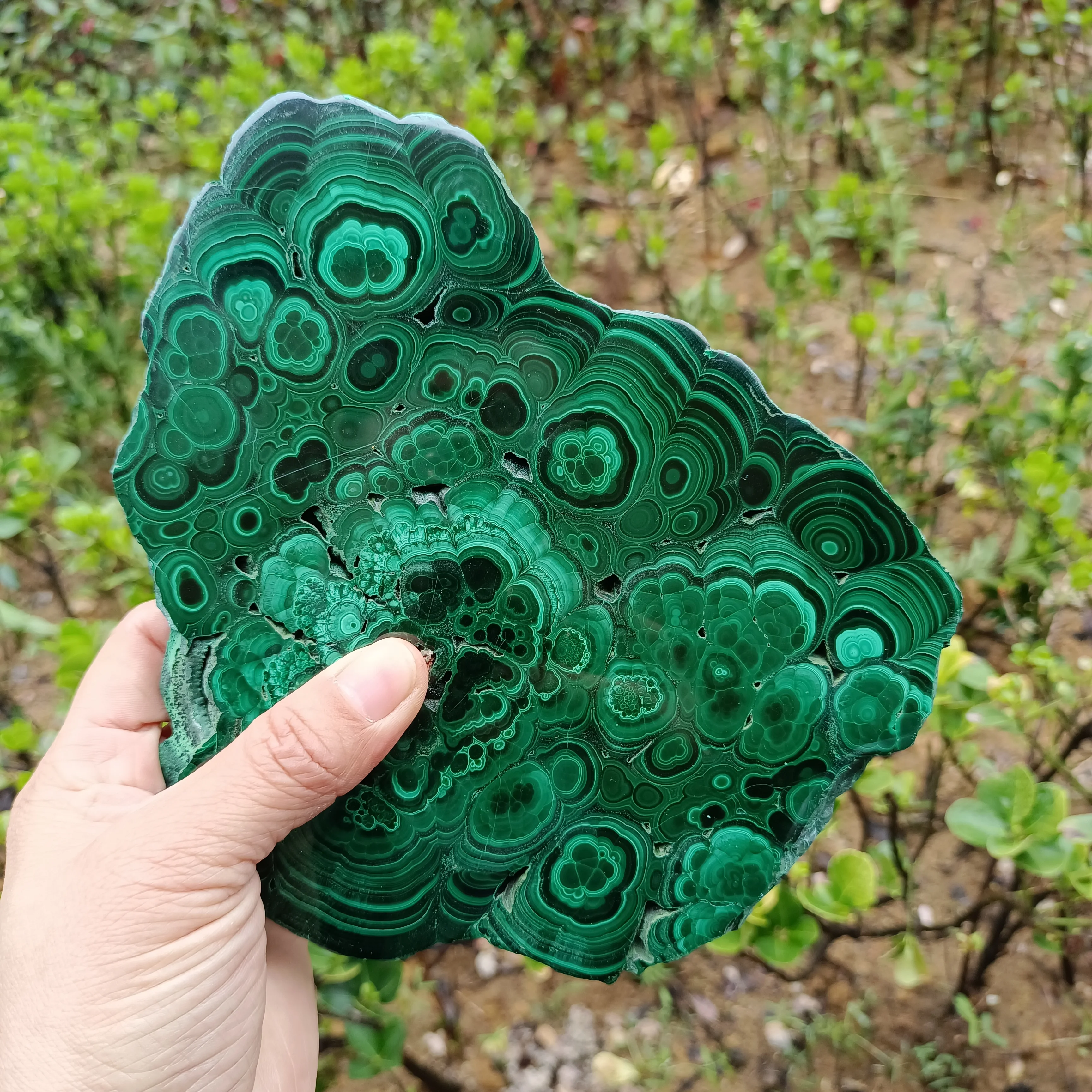 Magical Natural Malachite Slice, Quartz Crystal Energy Ore Slice, Malachite Mineral Reiki Treatment, Degaussing Decor