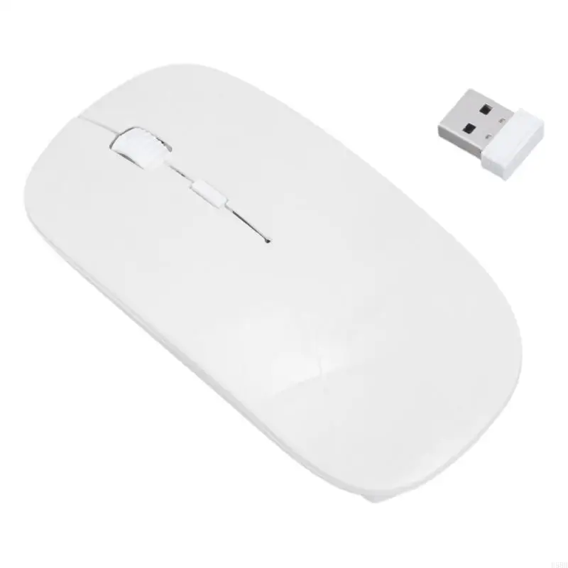 D5BB 2.4G Chuột không dây có pin không dây máy thu USB