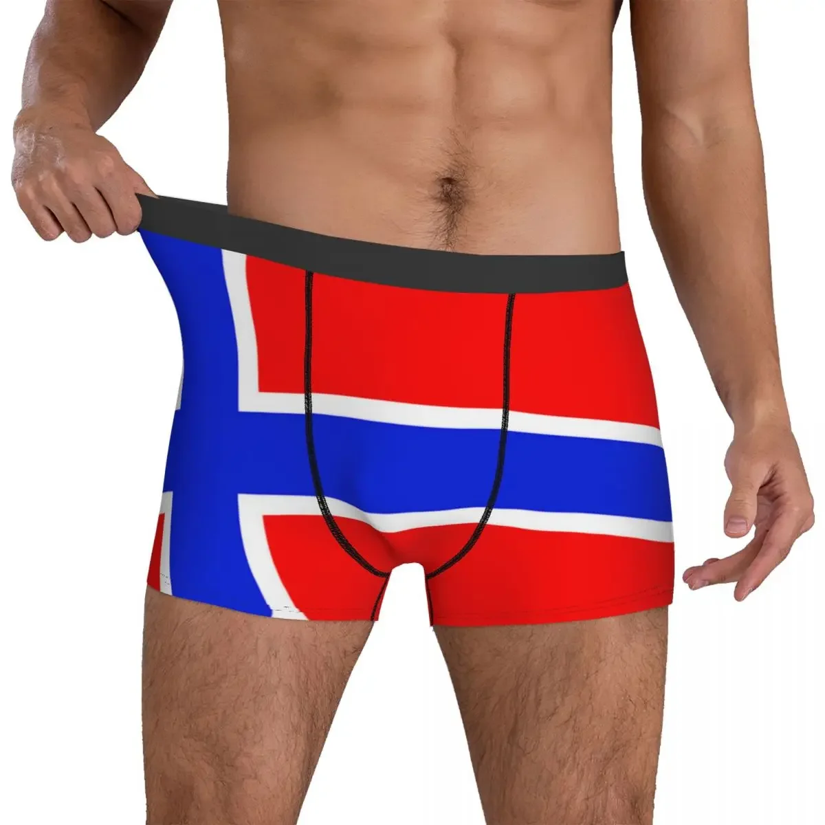 Boxer Underpants Shorts Norway Flag (1) Panties Male Breathable Underwear for Homme Man Boyfriend Gifts