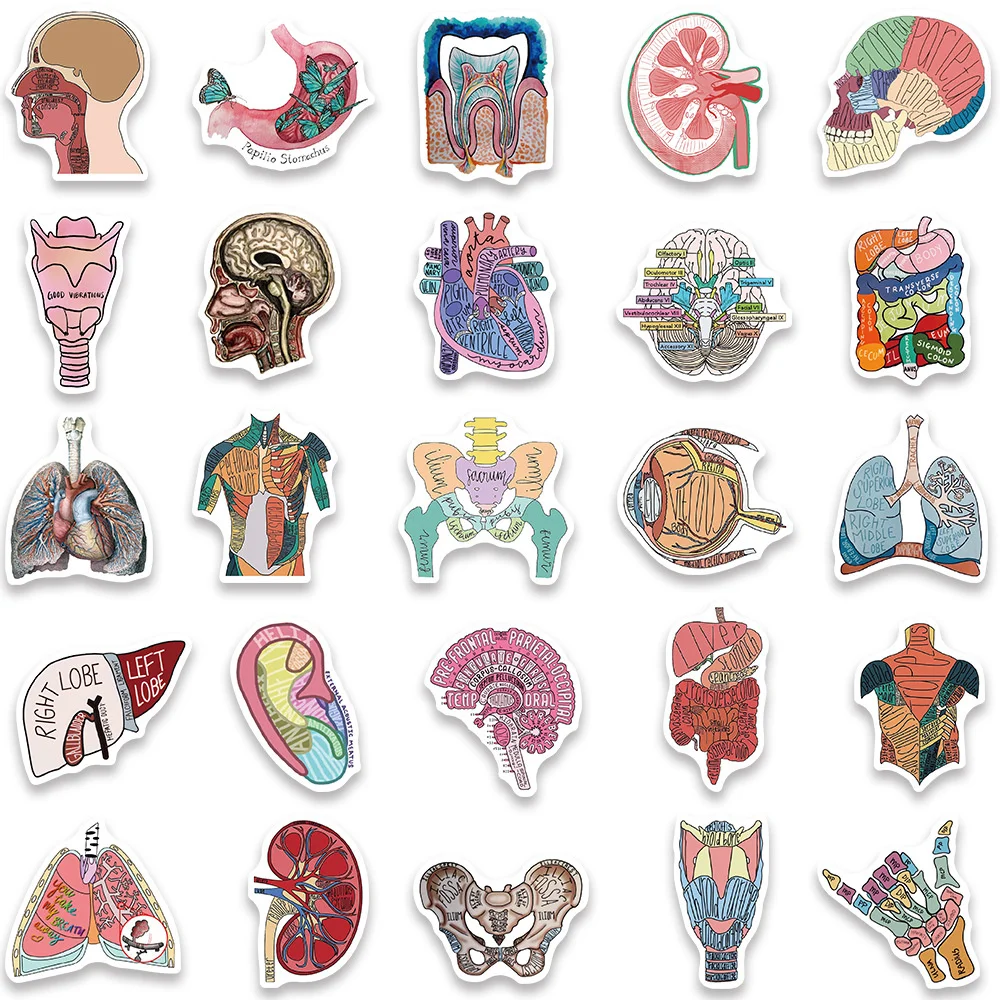 50pcs Human Body Science Anatomy Stickers Pack Laptop Phone Case Ipad DIY Sticker Journal Accessories Scrapbooking Supplies