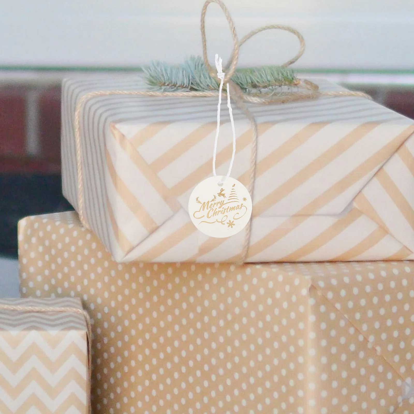 

100Pcs Holiday Gift Tags Blank Back Writing Surface Christmas Decoration Labels for Present Bag Jar Hanging Ornament Craft Use