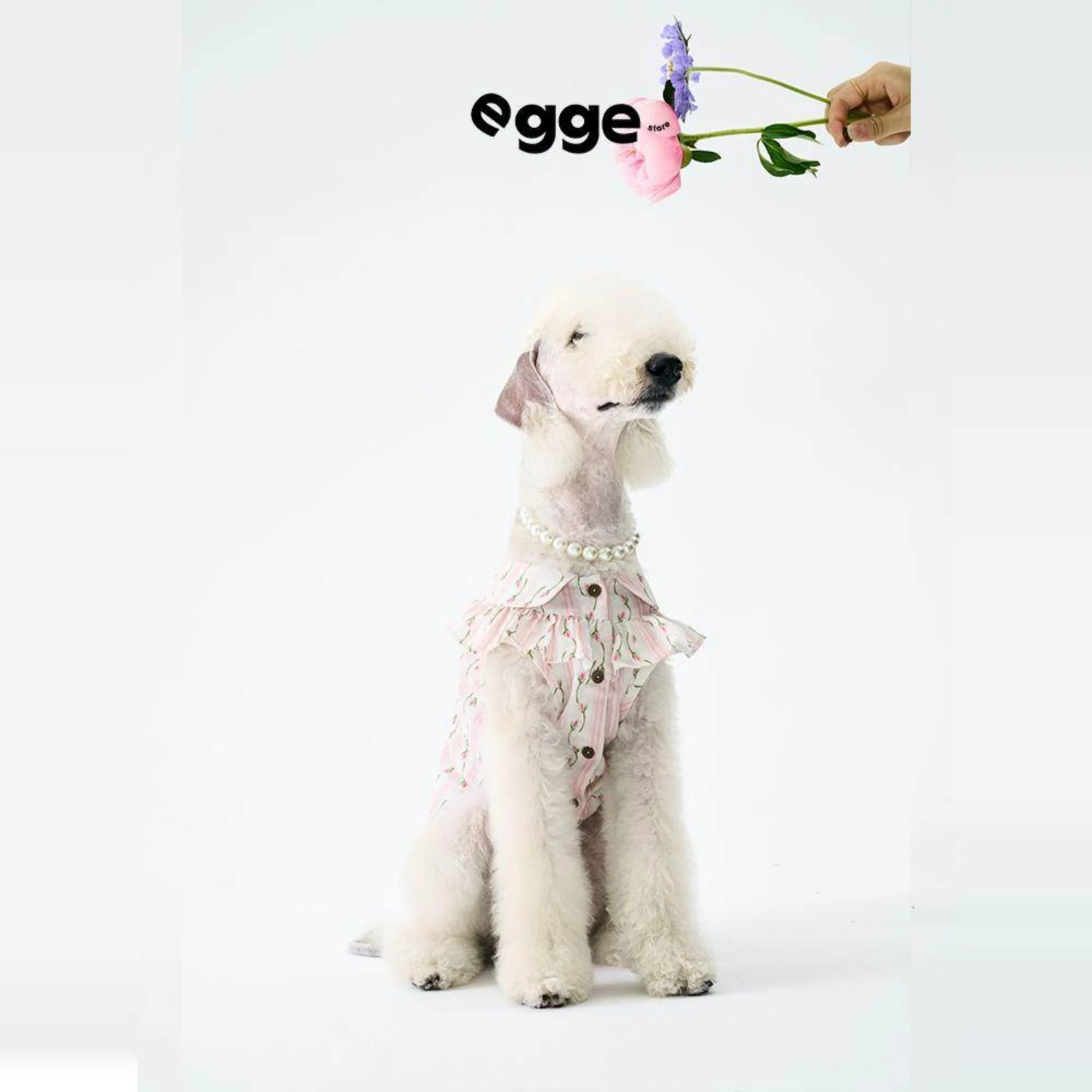 

Летняя хлопковая розовая блузка без рукавов с цветочным принтом и рюшами для собак породы Боллингтон, зеленый жилет с воротником в виде листа лотоса для итальянских грейхаундов