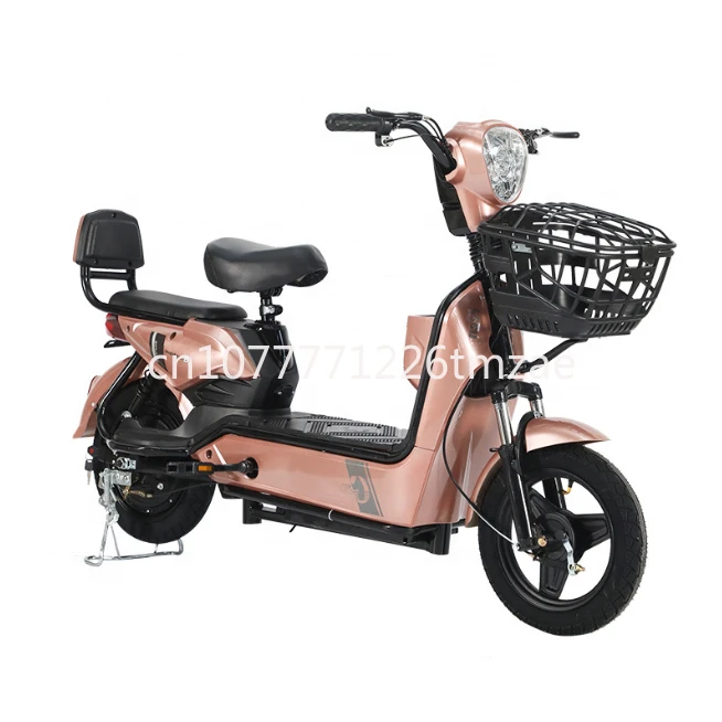 Electric Bicycle 48V Long Distance City Bicycle 2 Seat Pedal Scooter