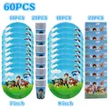 60pcs set
