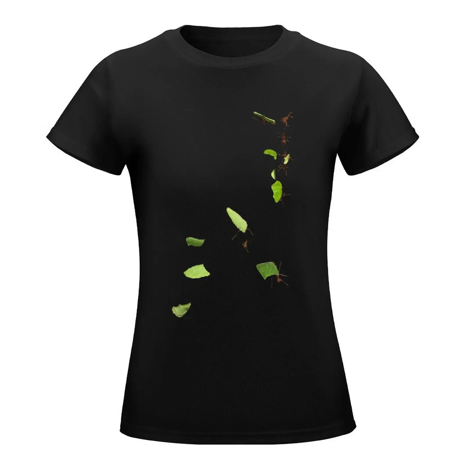 Leaf Cutter Ants T-Shirt kawaii clothes Short sleeve tee Summer Women's clothing