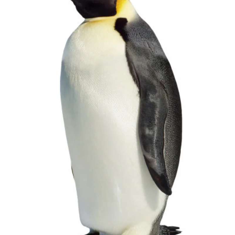 

1/10 RC Rally Drift шины 65 мм для дорожных гоночных автомобилей, колеса для Tamiya TT01 TT02 XV01 XV02 PTG-2 HSP HPI Kyosho