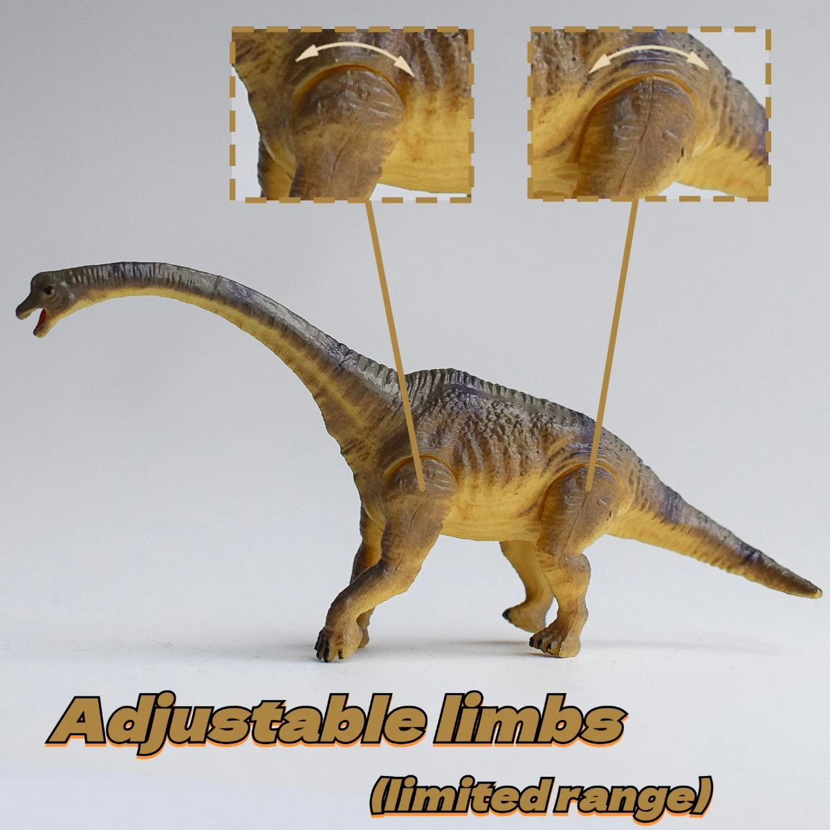 

A Pvc Simulated Prehistoric Brachiosaurus Model | Joints Are Movable. | New Year Season/Easter/Fast Ramadan/Christmas/Valentine's Day Gifts | Furniture Tabletop Ornaments | Dinosaur Lovers | Birthday Party, Anniversary, Holiday, Wedding Gift | Halloween, 