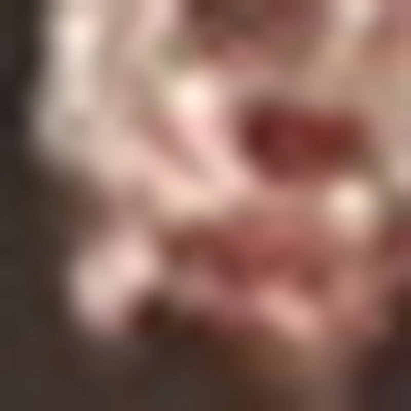 

Цифровой видеоотоскоп с цветным IPS-экраном 3,9 мм, 4,5 дюйма, 1 МП, HD-камера 1080P для осмотра ушей, 6 светодиодов, IP67, эндоскоп C2