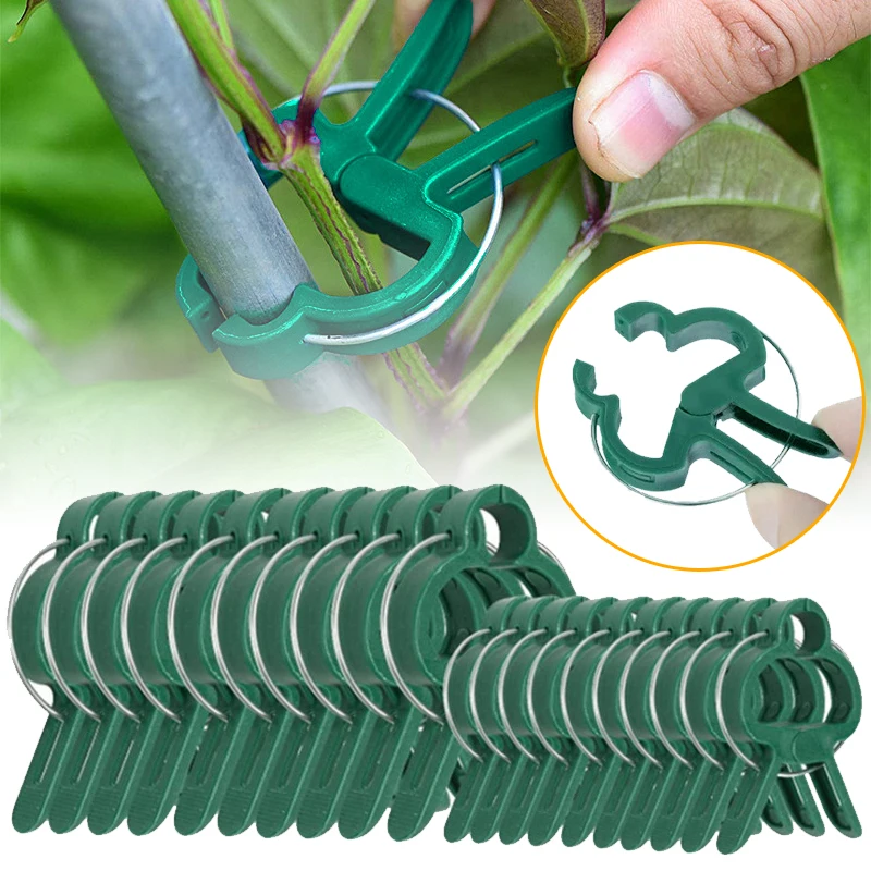20Pcs Plant Fixed Clips Reusable Garden Greenhouse Bracket for Fixed Plants Vine Flower Seedling Stem Suppor t Garden Supplies