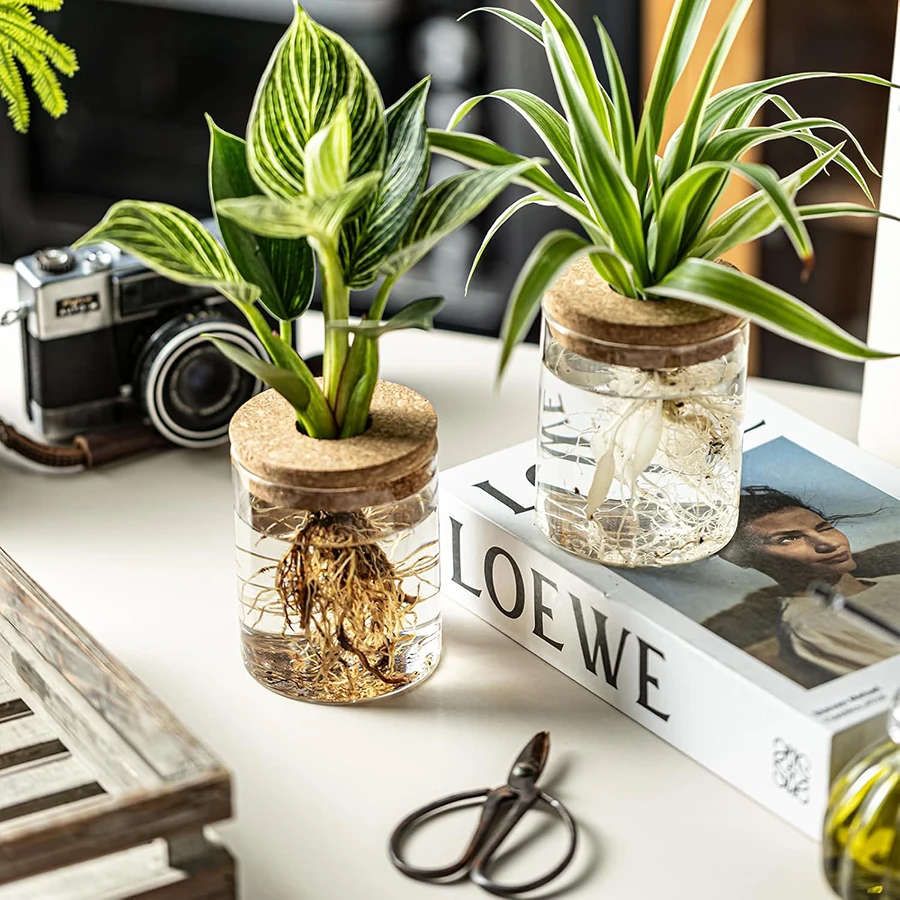 Separated Desktop Acrylic Flower Vases Plants Propagation Stations for Living Room, Bedroom Decoration,Home Decor