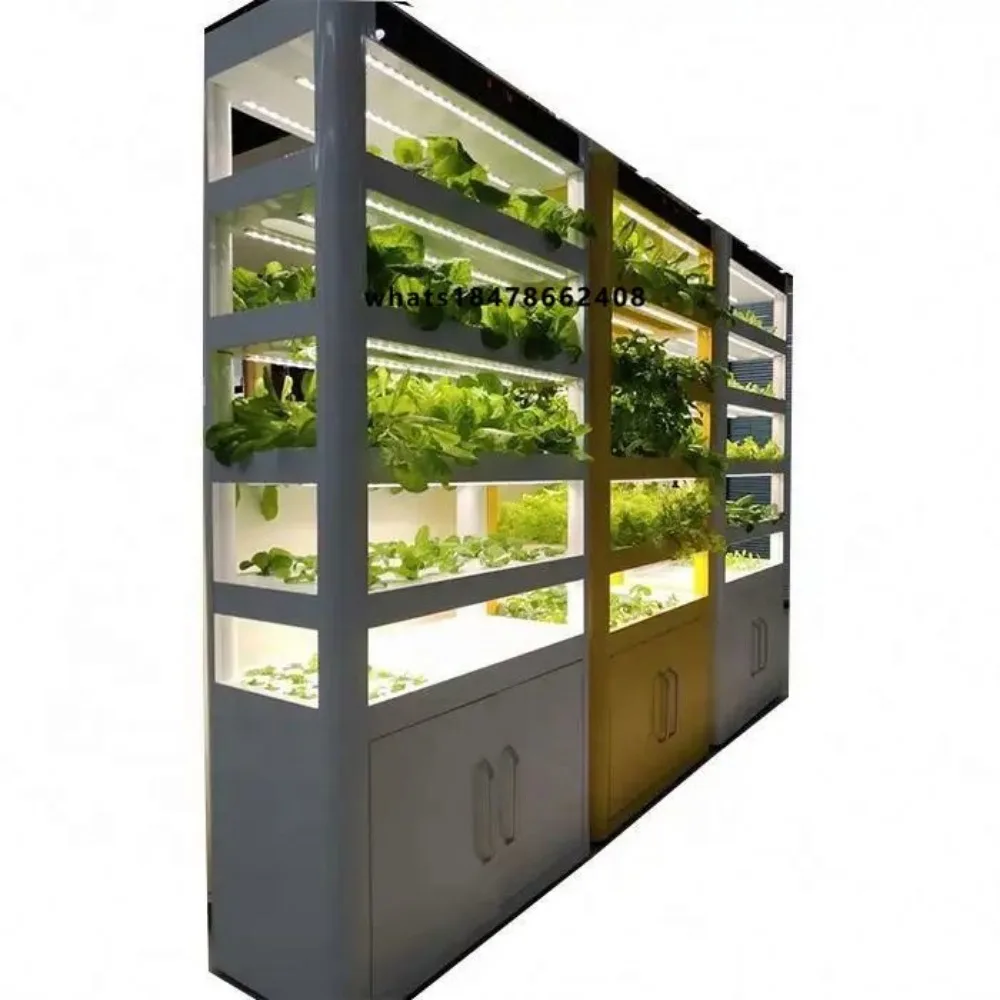 Automatic Creaon CZ-M3 Plant Growing Machine Indoor Hydroponics Vegetable Growing System Low Cost High Output Easy to Operate CE