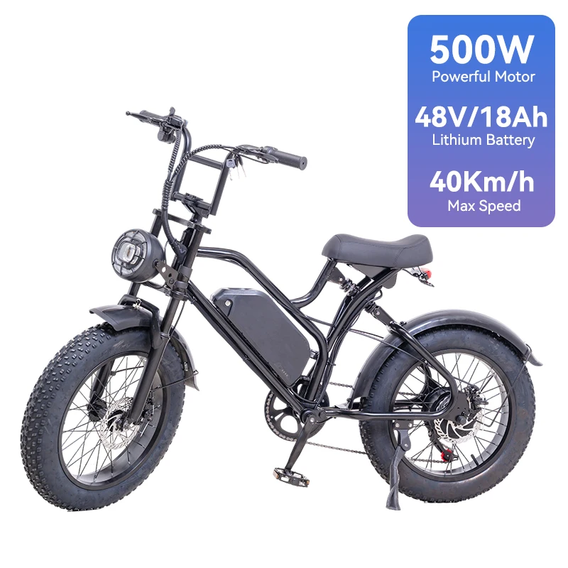 Electric Off Road Mountain Bike, 48V500W, Seven Speed, Fat Tires, Shock Absorption, Disc Brake, Front and Rear Lights