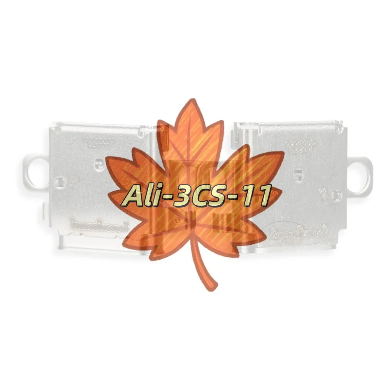 NS2 Switch Console …